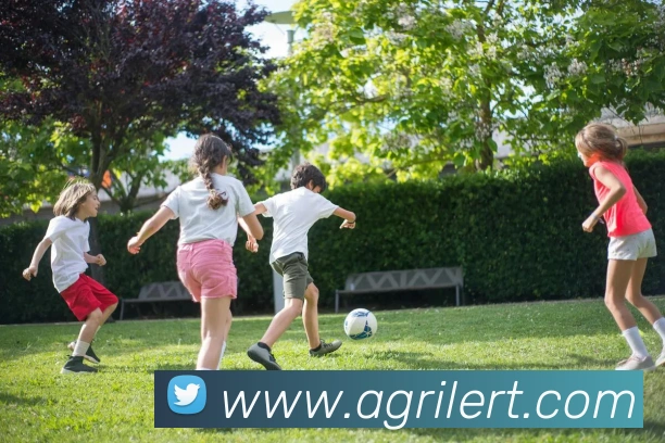 ag官网APP 封面图